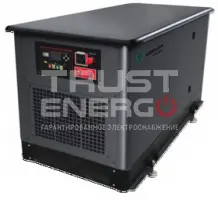 Газовый генератор Mirkon Energy MKG31T с АВР В кожухе Mirkon Energy trustenergo.ru Газовый генератор Mirkon Energy MKG31T с АВР В кожухе Mirkon Energy trustenergo.ru