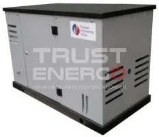 Газовый генератор REG GG10-230S В кожухе REG 680 trustenergo.ru Газовый генератор REG GG10-230S В кожухе REG 680 trustenergo.ru