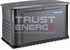Газовый генератор Mirkon Energy MKG8M В кожухе Mirkon Energy trustenergo.ru Газовый генератор Mirkon Energy MKG8M В кожухе Mirkon Energy trustenergo.ru
