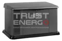 Газовый генератор Briggs & Stratton G110 с АВР В кожухе Briggs&Stratton Vanguard V-TWIN trustenergo.ru