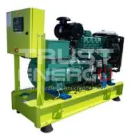 Дизельный генератор GenPower GDZ-LRY 66 OTO